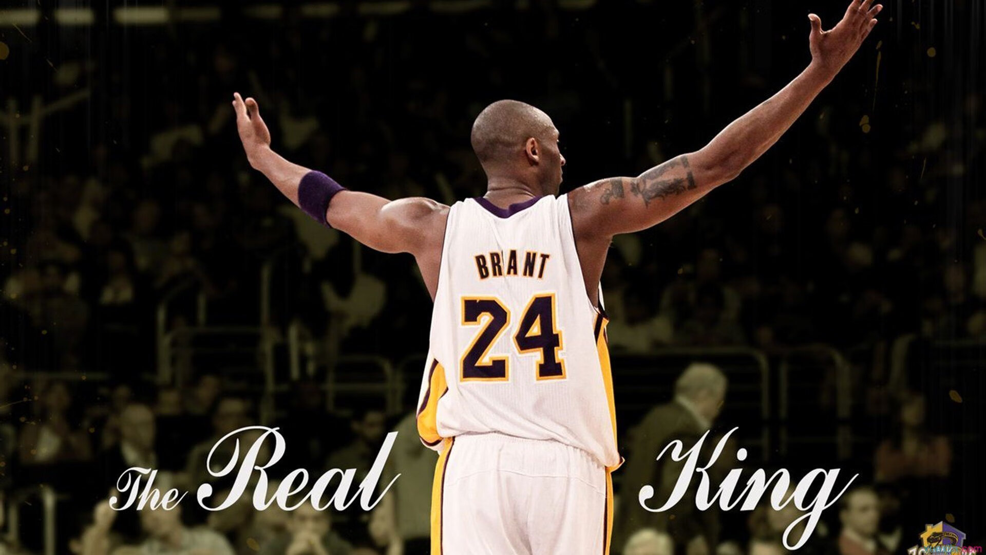 青训体系再结硕果,U17梯队全国锦标赛夺冠背后的培养密码