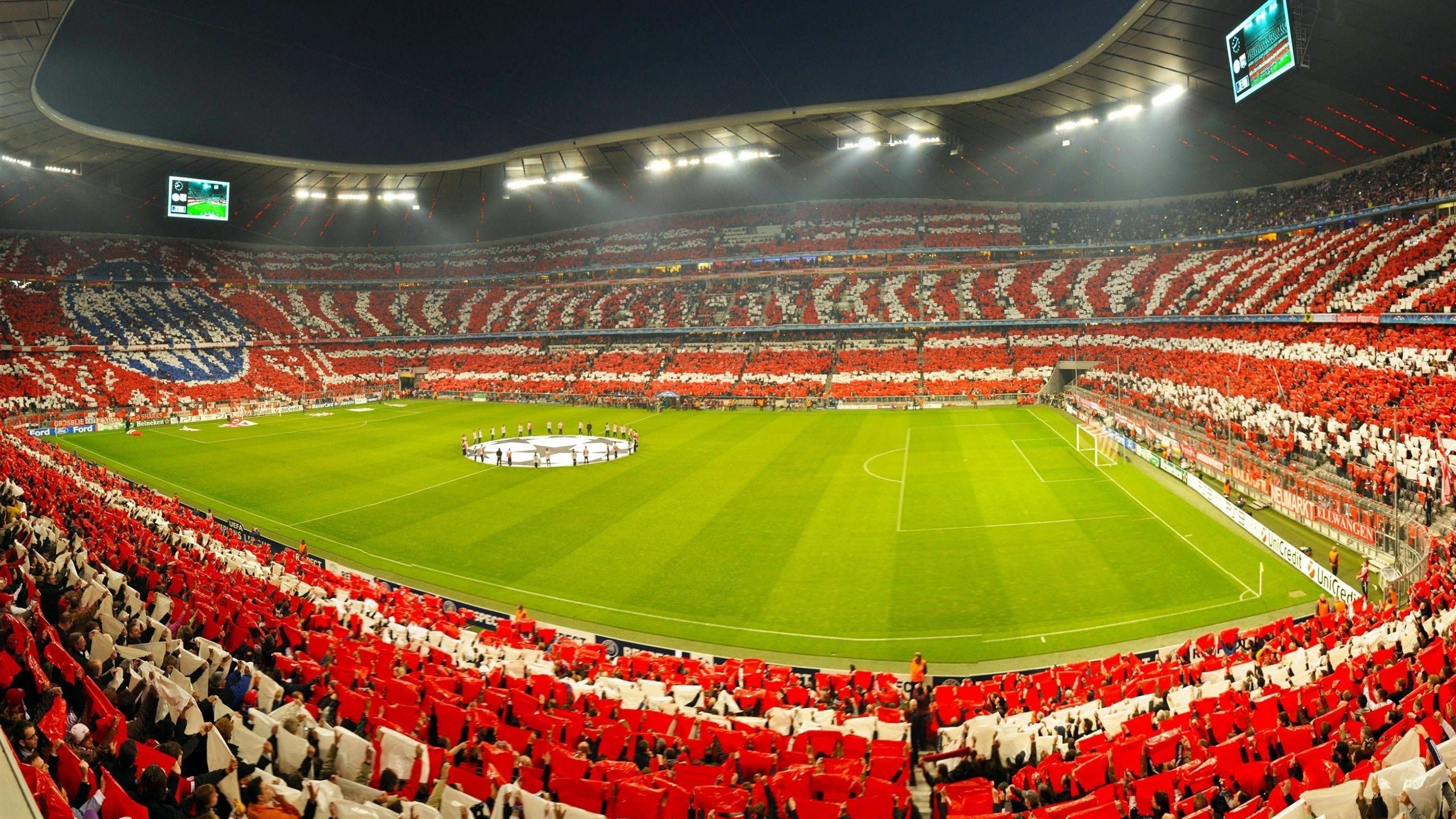 中国跳水队包揽世锦赛全部金牌，展现绝对统治力